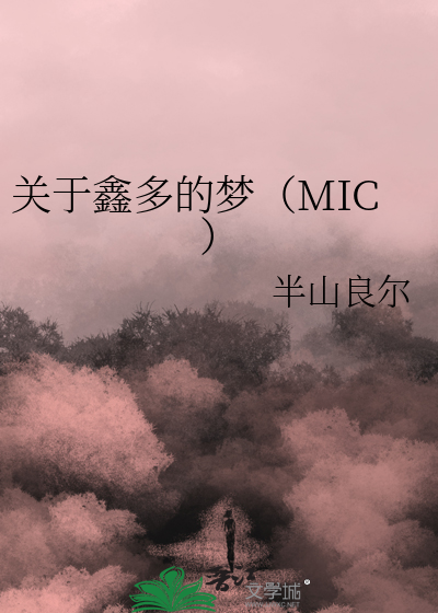 关于鑫多的梦（MIC）